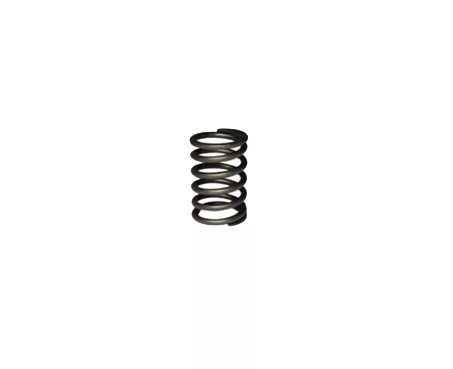 Spring Valve Honda GX240